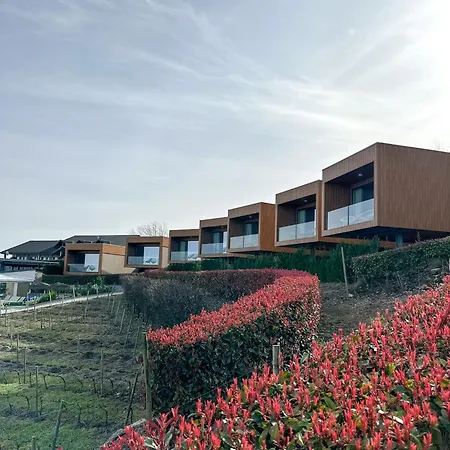 Paraiso Douro Al Lamego