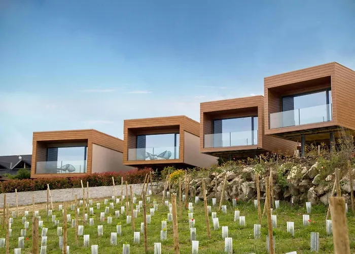 롯지 Paraiso Douro