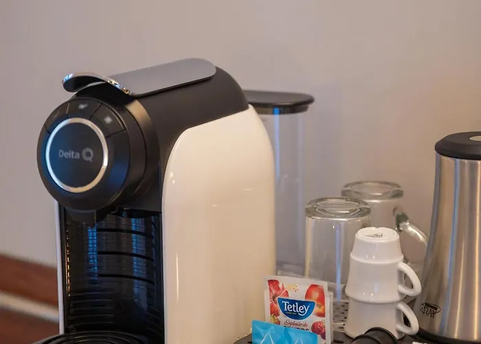 Paraiso Douro * 라메구